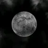 bvbvr2