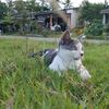 narisa_73