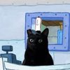 koolkat1.0
