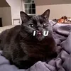 it.z_d.eath