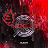 Nixus Blechi