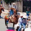 el.gallorojo
