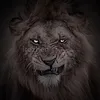 dyatpaee5