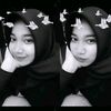 pirrdz