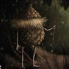 pineconeteas