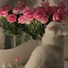 gha_1888