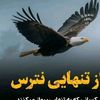 www.tiktakuser