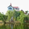 nguyenleanh56