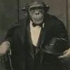 domghz