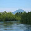 4n4kmangrove