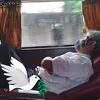 dominhdinh3