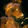 darkflower789