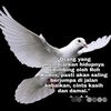 anae1381