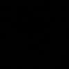 pinzxx10