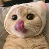 hsbnllh