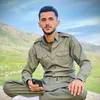 dlger_shatry_ll