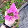 nguyenngocdung469