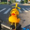 moto.duck