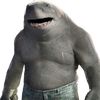 sharkyv2.0