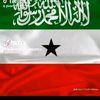 saynapxiizm0
