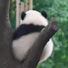userlinh754