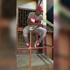 wizzlle24
