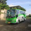 gogreen415