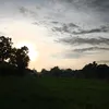 dinarsiti