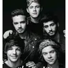 taylorh_onedirection1d