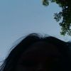 dandelion17_2