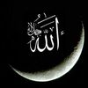 kader23230