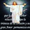 jmsg7