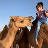 البتار