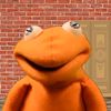 amirthefrog