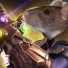 emperordragonn