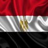 dalia_wahby