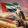 m7md.albulooshi