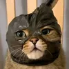 ws_sillva