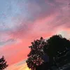 jamesleroux1