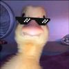 duck._.ducky1