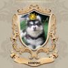 koonpon_c