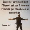 lapierreangulair6