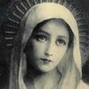 catholic_butterfly