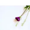 kimloan_01230