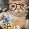 skibidi_danielle_cbd
