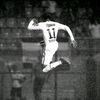 bangfan211
