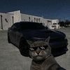 lennox_06300