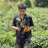 punn_1988