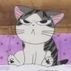 _daigiameomeo_