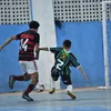 mini_celula0011
